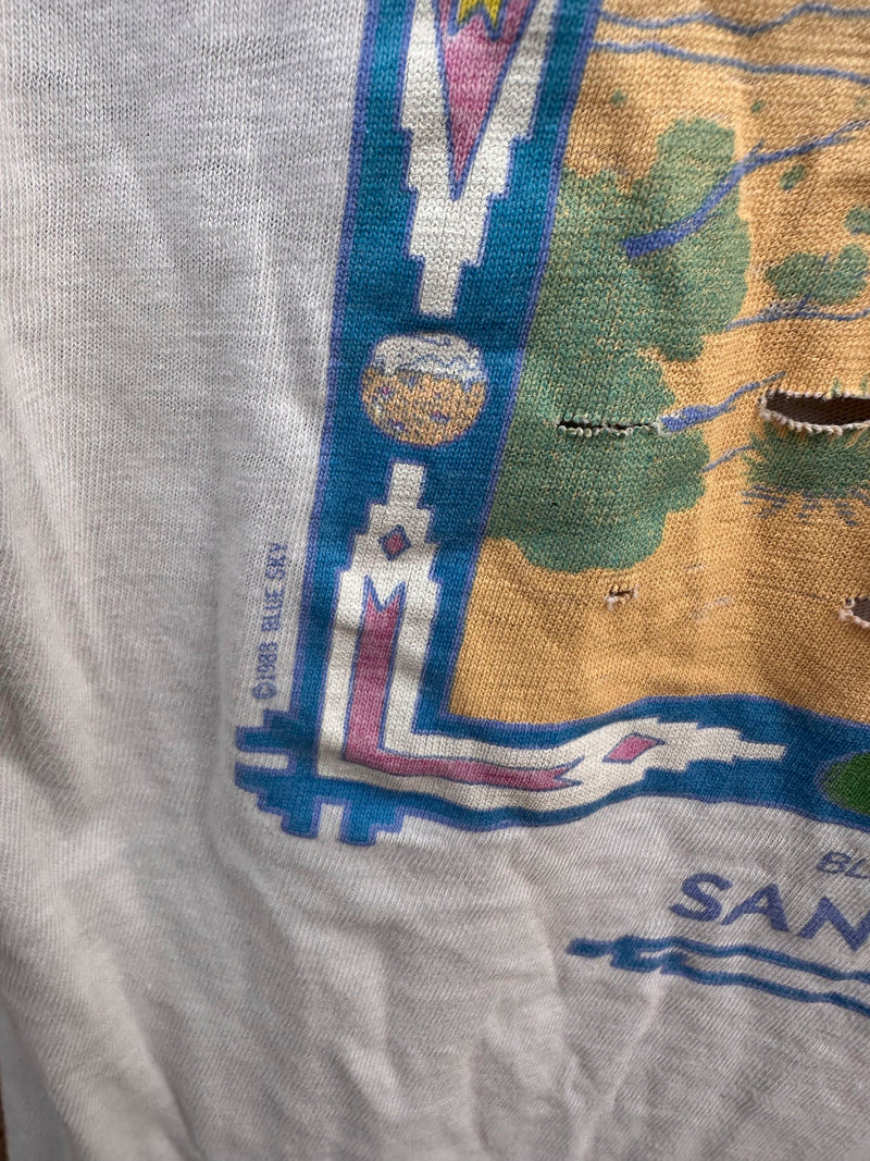 1980's Blue Sky Soda T-shirt from Santa Fe - as is