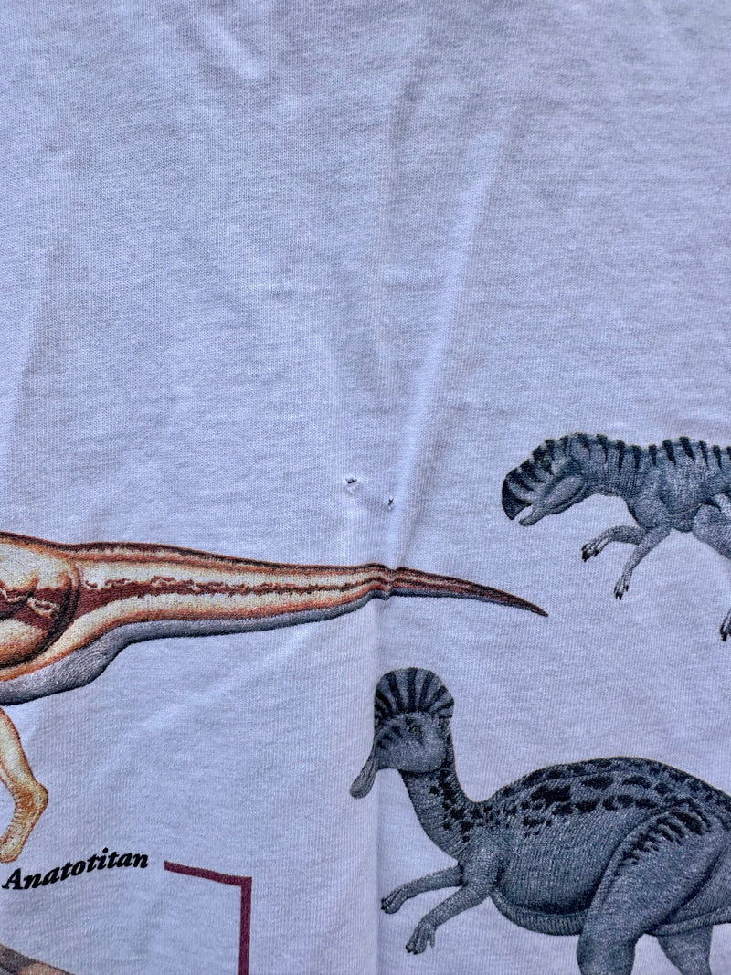 Triassic, Jurassic, Cretaceous T-shirt - as is